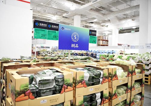 圳品引領深圳食品業做大做強，教育軟件技術開發如何賦能新賽道